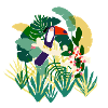 Toucan tropicool
