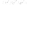 Pyro Feuerwerk Pyrotechnik
