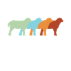 Mouton cru