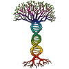 Chakra DNA Baum des Lebens.