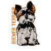 Biewer terrier