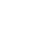 lizard
