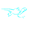 lizard