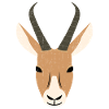 springbok