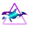 Orca Whale Fish