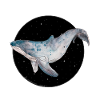 Space Whale
