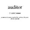 Auditor (Wirtschaftsprüfer) Definition Dictionary