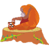 Orangutan