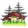 pilze wald natur geschenkidee