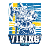 Suède Vikings