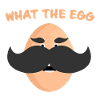 What the Egg
