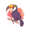 Toucan