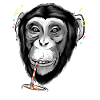 A chimpanzee with pods