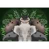 jungle animals