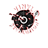 Vinyl Revolution - Destroy - Disque Vinyle