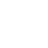 Roi des bêtises