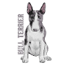 Bull Terrier
