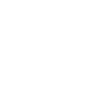 Jack Russell Terrier