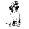 Puggle Beagle Pug