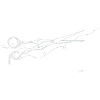 white scissors