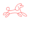 poodle