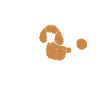 poodle