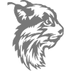 wild animal lynx feroce eye