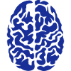 brain seen on drawing
