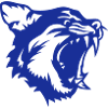 cougar sauvage animal gueule ouverte