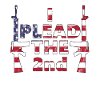 I Plead the 2nd America