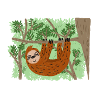A chilled sloth