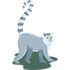 lemur