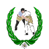 schwinger diae boese1