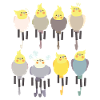 Piano cockatiel