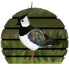 jz.birds Lapwing bird animal design