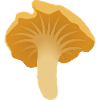 Pfifferling