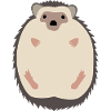 Igel