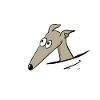 Lévrier dans le sac