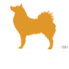 Finnish Spitz