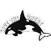 SAVE THE ORCAS