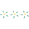 Edelweiss
