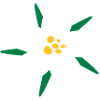Edelweiss