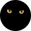Cat's eyes in the dark
