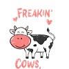 cows