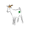 Goat luck