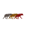 Hyäne