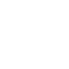 V1 design