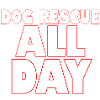 Dogs Animal Welfare