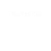 Pentester pirate