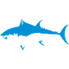bluefin tuna